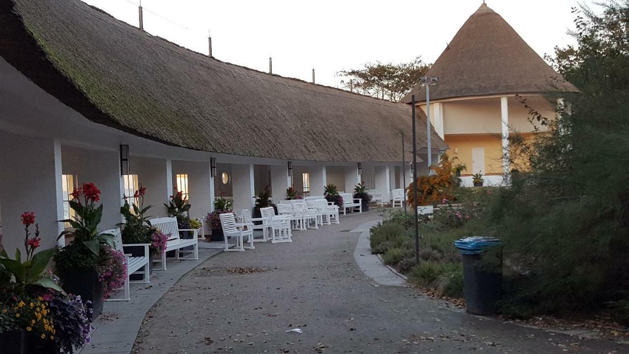 Fewo-Perner Moewenblick Ostseebad Kühlungsborn Buitenkant foto